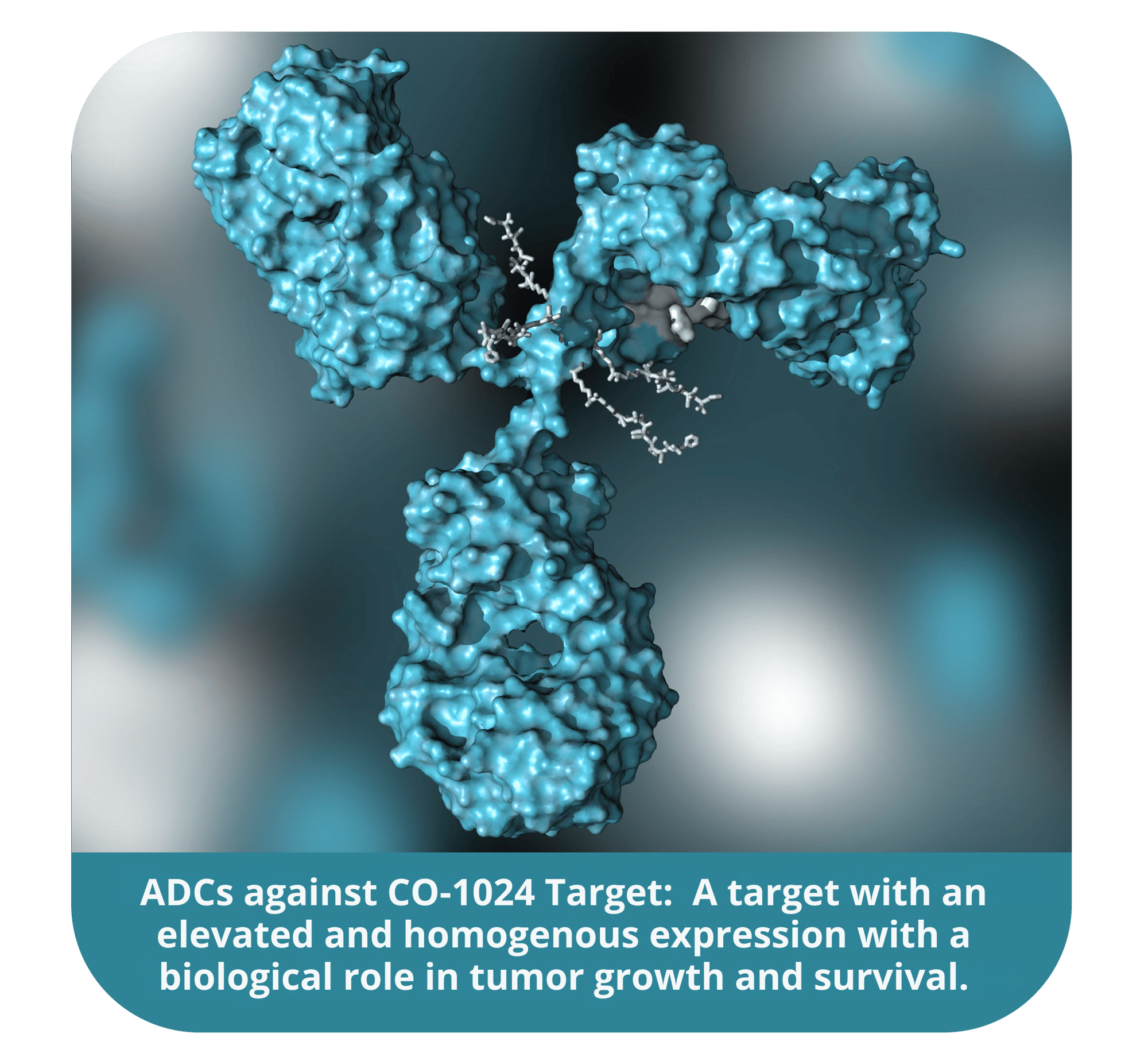 ADCs against CO-1024 Target A target with an elevated and homogenous expression with a biological role in tumor growth and survival.