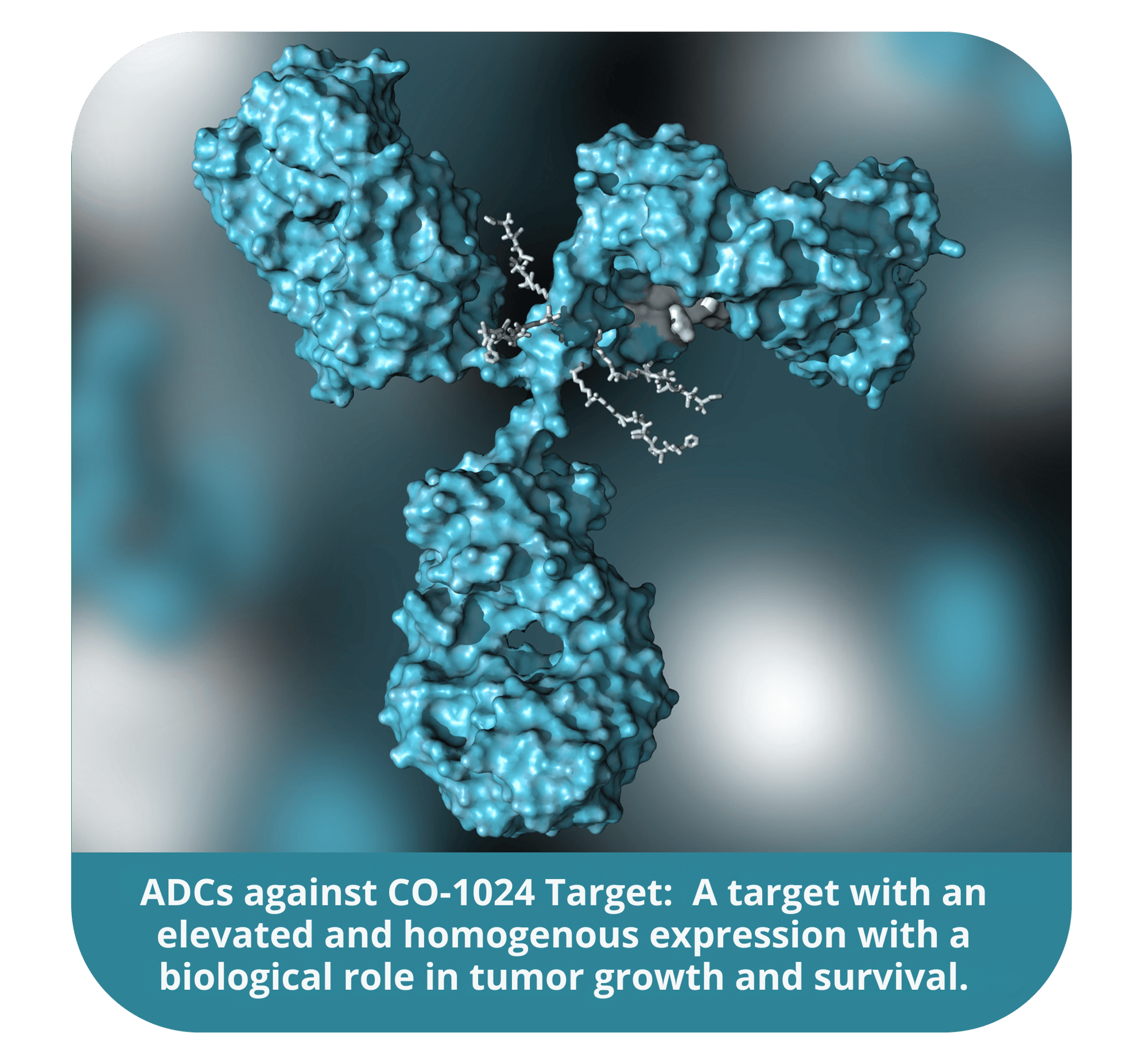 ADCs against CO-1024 Target A target with an elevated and homogenous expression with a biological role in tumor growth and survival. ADCs against CO-1024 Target A target with an elevated and homogenous expression with a biological role in tumor growth and survival.