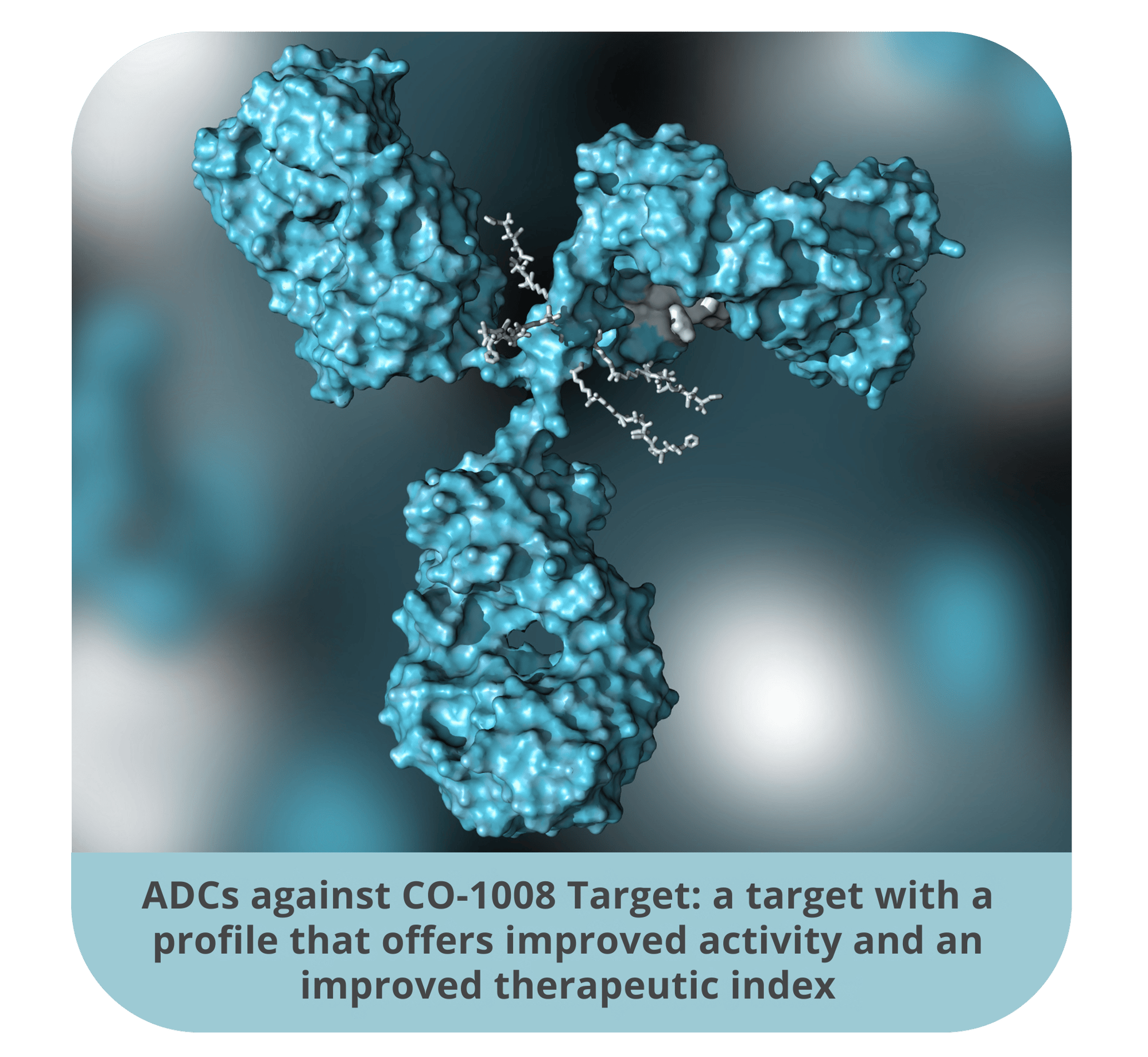 Antibody-based therapies against CO-1008 a target with a profile that offers an improved therapeutic index