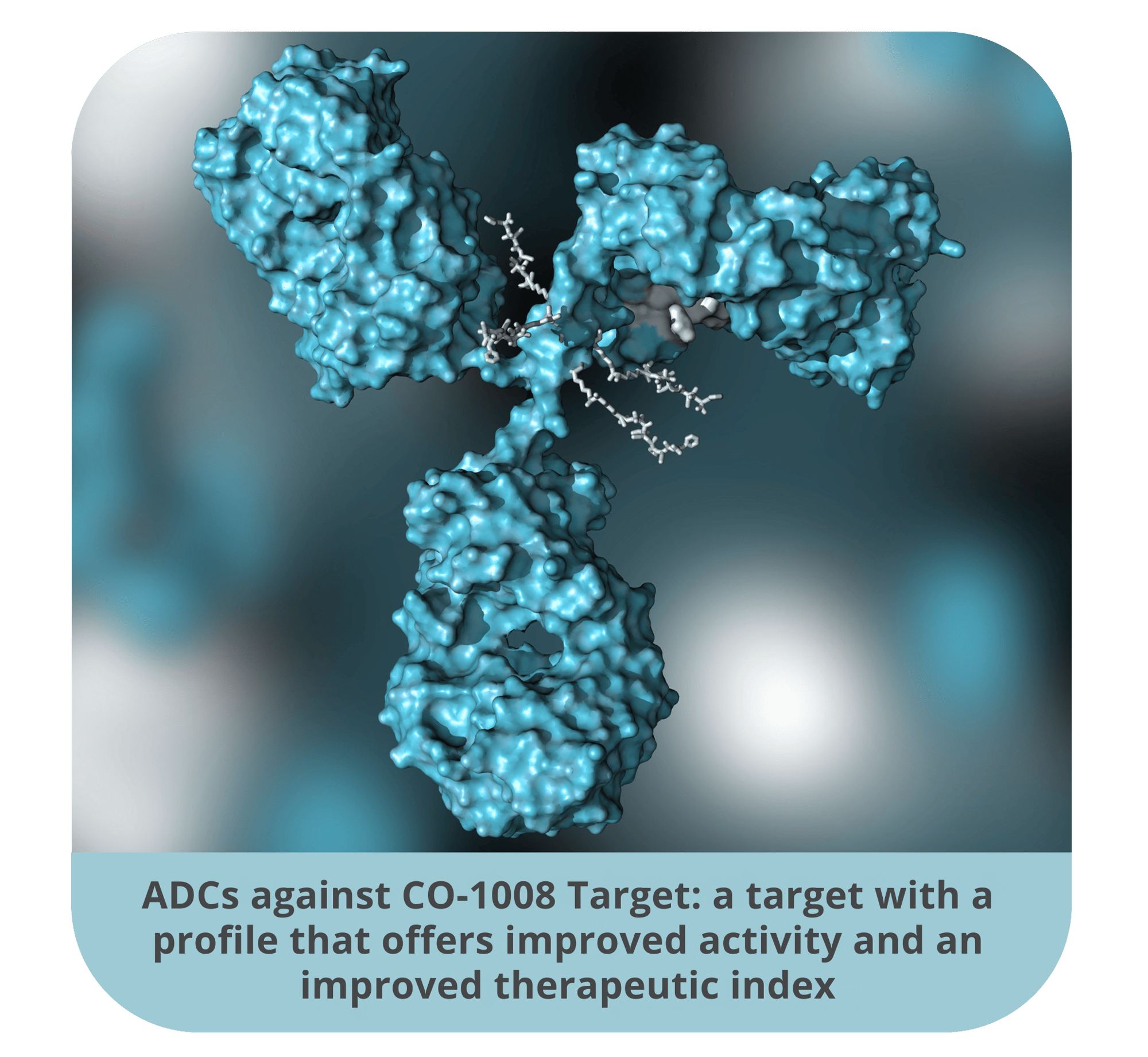 Antibody-based therapies against CO-1008 a target with a profile that offers an improved therapeutic index Antibody-based therapies against CO-1008 a target with a profile that offers an improved therapeutic index